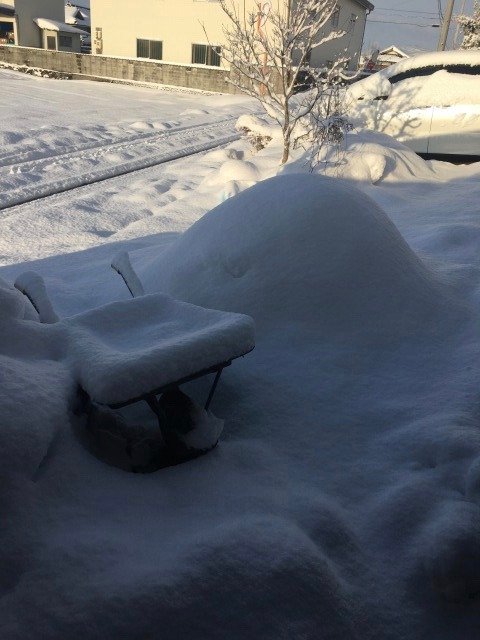 【更なる積雪】もうやめて〜( ；∀；)！の画像