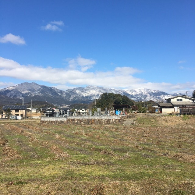 【春の気配】の画像